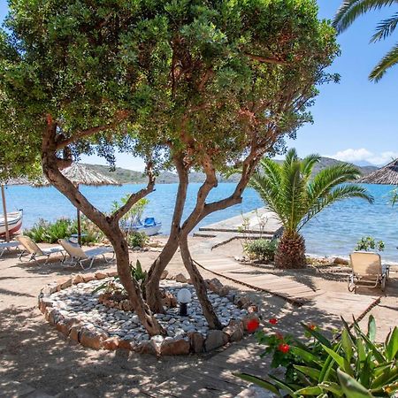 Tsifliki Beach House إيلوندا المظهر الخارجي الصورة