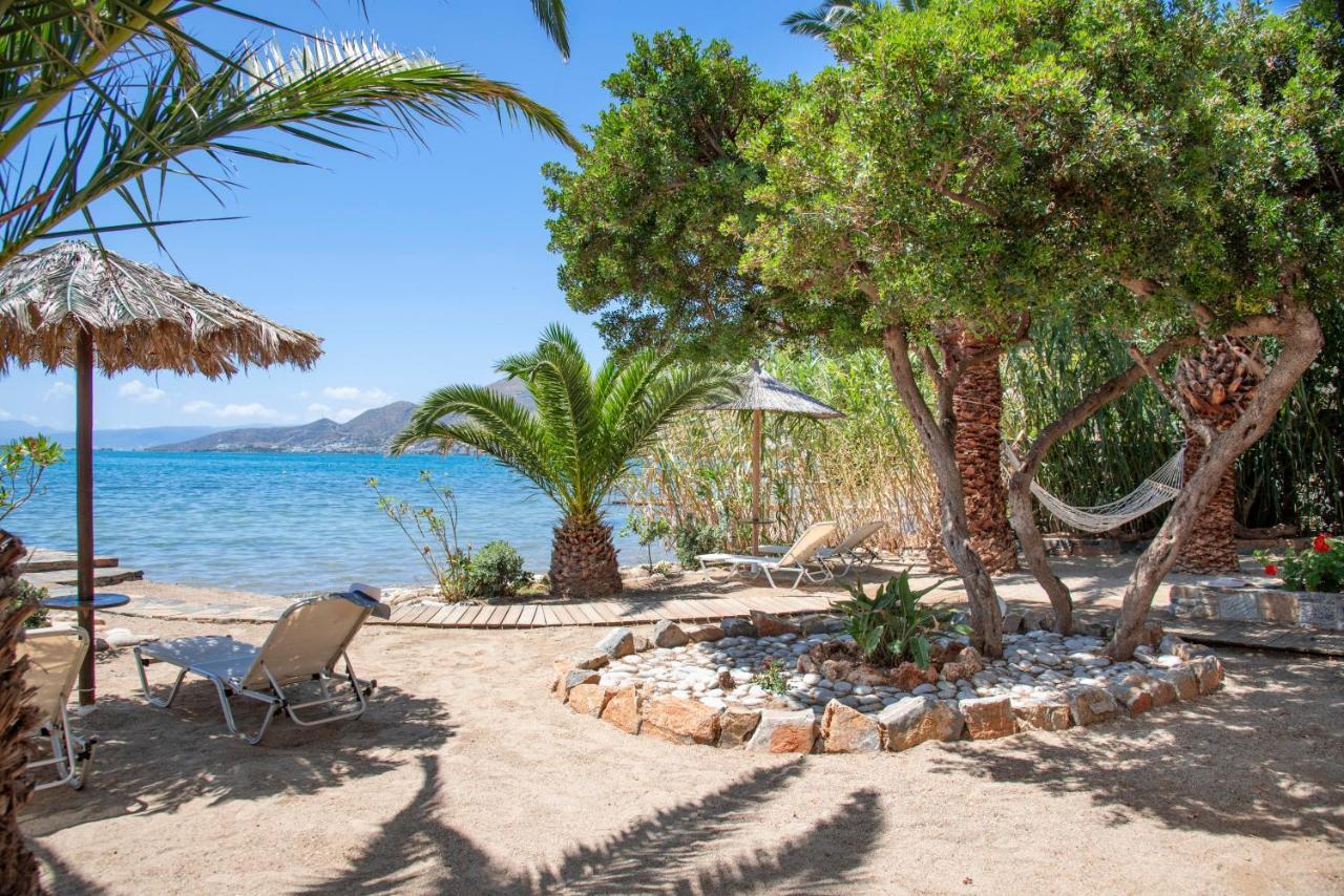 Tsifliki Beach House إيلوندا المظهر الخارجي الصورة